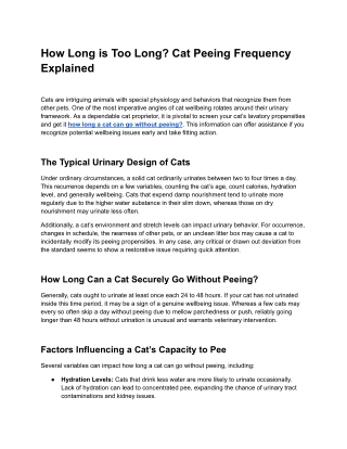 How Long is Too Long_ Cat Peeing Frequency Explained