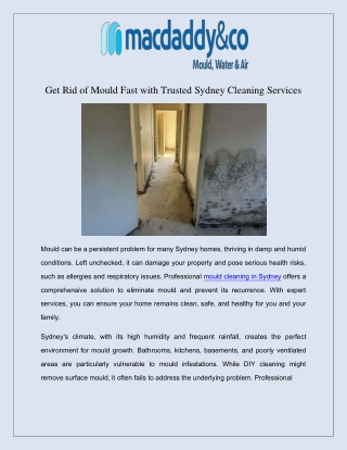 Get Rid of Mould Fast with Trusted Sydney Cleaning Services