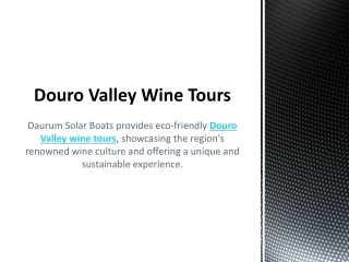 Douro Valley Wine Tours