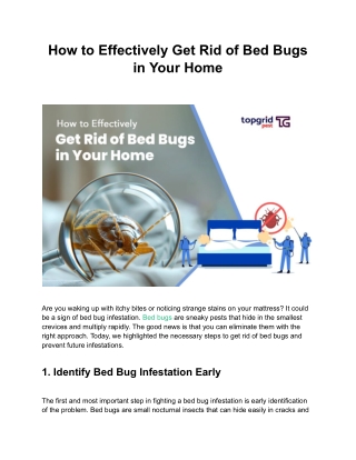 How to Effectively Get Rid of Bed Bugs in Your Home