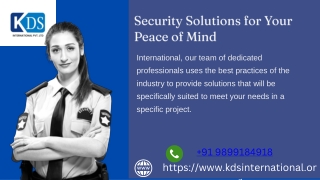 Expert Project Management Services for Seamless Execution