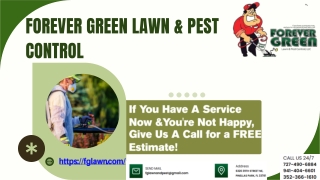 Professional Lawn Services in Pinellas Park  Expert Lawn Care