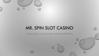 mr spin ppt