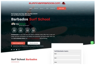 Discover Confidence on the Waves at Beginner Surf School Barbados