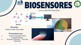 BIOSENSORES