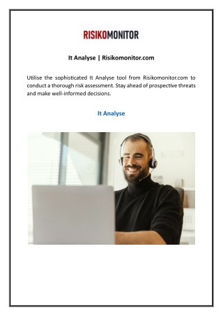 It Analyse Risikomonitor