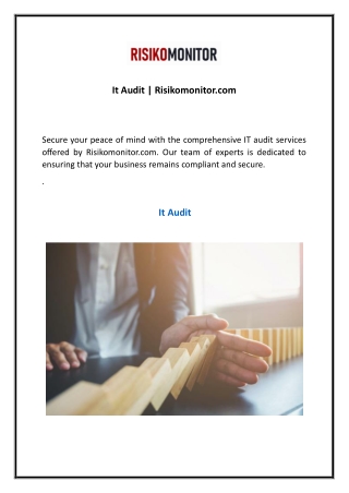 It Audit  Risikomonitor