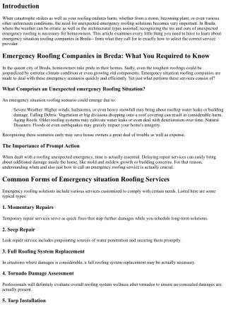 Unexpected Emergency Roofing Providers in Breda: What You Need to Know