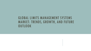 Global Limits Management Systems Market