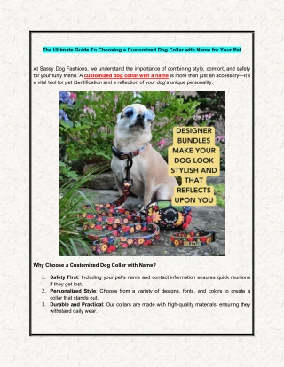 The Ultimate Guide to Choosing a Customized Dog Collar with Name for Your Pet