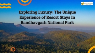 The Unique Experience of Resort Stays in Bandhavgarh National Park