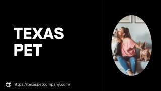 Why Do Border Collies Lick So Much?