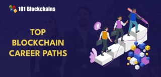 Best career path as a Blockchain Developer