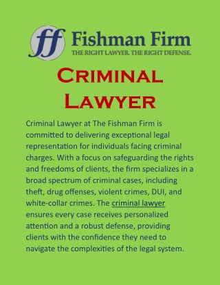 Criminal Lawyer: Professional Legal Support When You Need It Most
