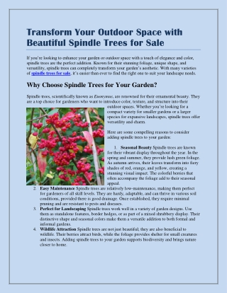 Transform Your Outdoor Space with Beautiful Spindle Trees for Sale