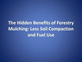The Hidden Benefits of Forestry Mulching: Less Soil Compaction and Fuel Use