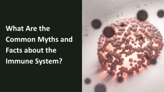 What Are the Common Myths and Facts about the Immune System?