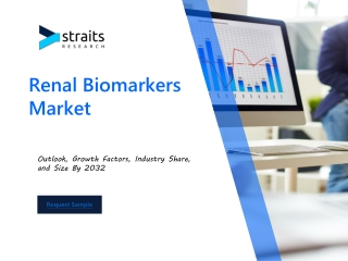 Renal Biomarkers Market Analysis Trends, Growth, and Insights 2024