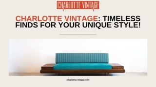 Charlotte Vintage Timeless Finds for Your Unique Style!