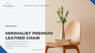 Minimalist Premium Leather Chair