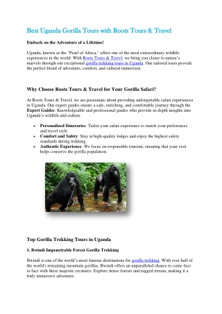 Best Uganda Gorilla Tours with Roots Tours & Travel