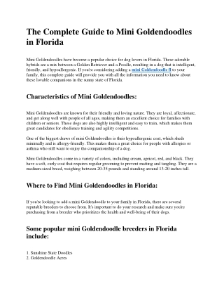 The Complete Guide to Mini Goldendoodles in Florida