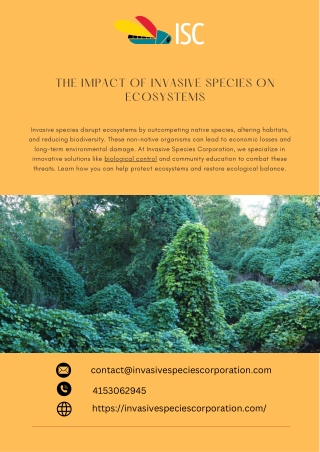 The Impact of Invasive Species on Ecosystems