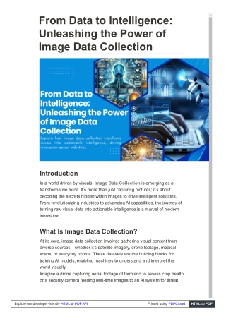 From Data to Intelligence: Unleashing the Power of Image Data Collection