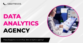 Eaglytics Co: Your Trusted Data Analytics Agency