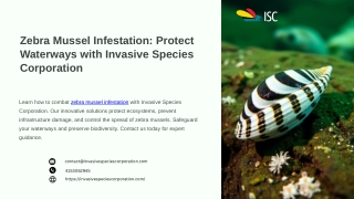 Zebra Mussel Infestation Protect Waterways with Invasive Species Corporation