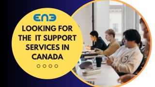 Looking For The IT support services In Canada