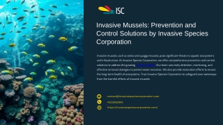 Invasive Mussels Prevention and Control Solutions by Invasive Species Corporation