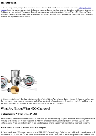 Release the Potential of Your Recipes with NitrousWhip N2O Chargers
