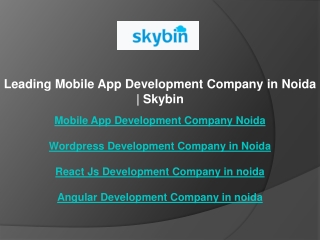 Leading Mobile App Development Company in Noida  Skybin