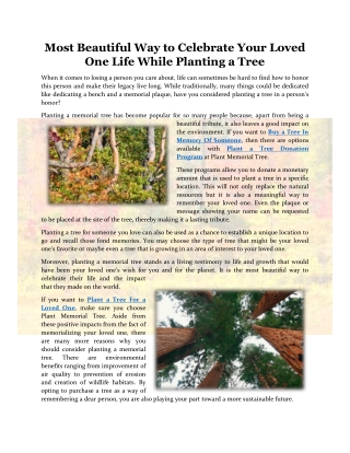 Most Beautiful Way to Celebrate Your Loved One Life While Planting a Tree