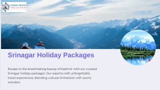 Srinagar Holiday Packages