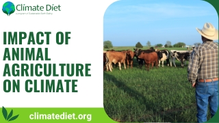Impact of Animal Agriculture on Climate