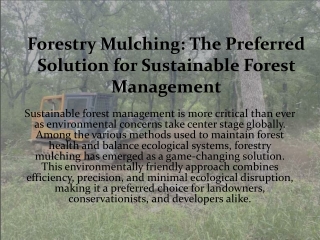 Forestry Mulching, The Preferred Solution for Sustainable Forest Management