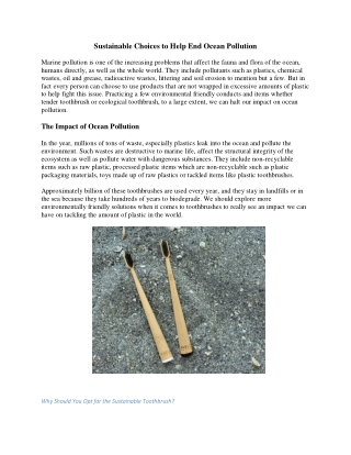 Sustainable Choices to Help End Ocean Pollution
