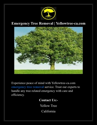 Emergency Tree Removal Yellowtree-ca.com
