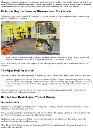 Just How to Clean Roof Shingles Without Damage