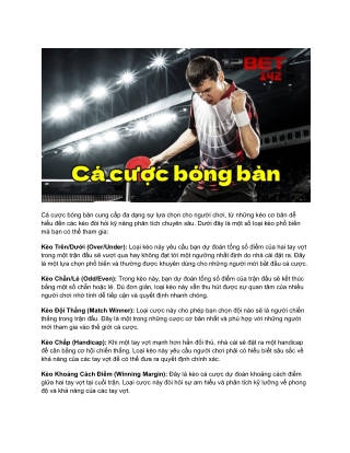 Cẩm Nang Cá Cược Bóng Bàn Tại 12Bet 142 Cho Người Mới Bắt Đầu