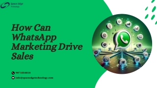 WhatsApp Marketing Service That Deliver Real Results