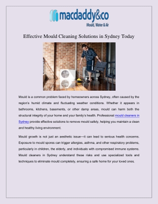 Effective Mould Cleaning Solutions in Sydney Today