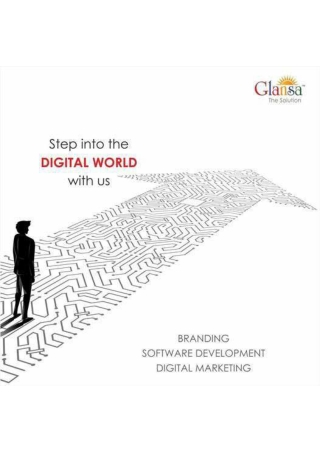 Daily Status Report Format