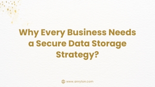 Why Every Business Needs a Secure Data Storage Strategy