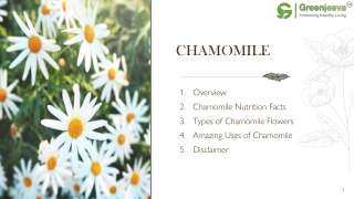 Chamomilepowderdocument