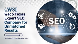 Waco Texas Expert SEO Company for Unmatched Results - WSI Internet Patner
