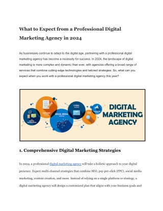 What to Expect from a Professional Digital Marketing Agency in 2024