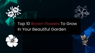 Top 10 Brown Flowers To Grow In Your Beautiful Garden